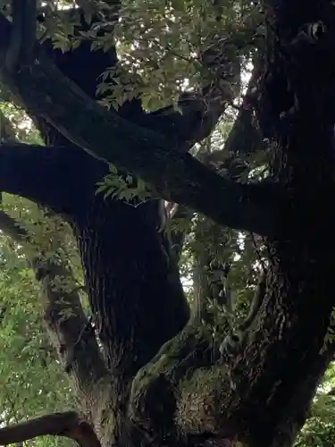 天志良波神社(茨城県)