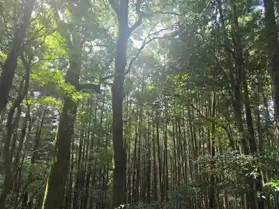 談山神社(奈良県)