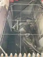 東大寺(奈良県)