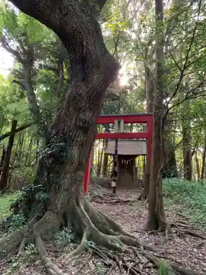 浅間神社(千葉県)