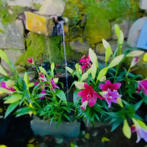 石上神宮(奈良県)