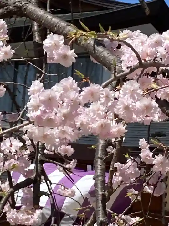 四柱神社(長野県)