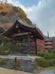 三室戸寺(京都府)