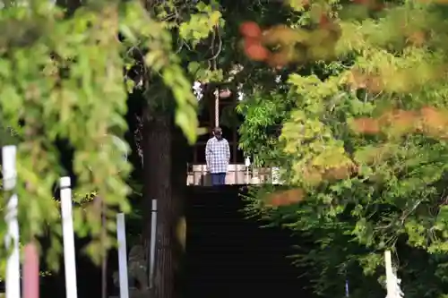 豊景神社の景色