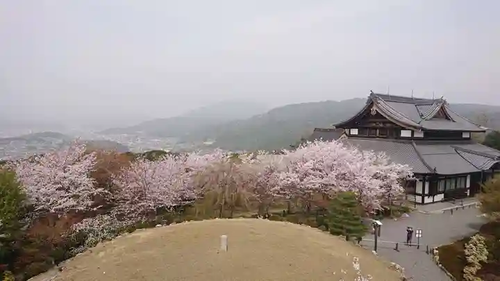 将軍塚青龍殿(青蓮院門跡)(京都府)