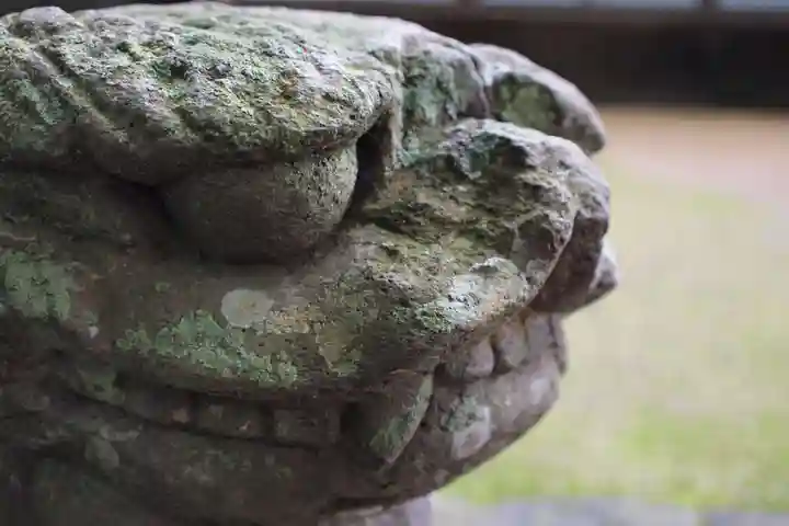 新田神社の狛犬
