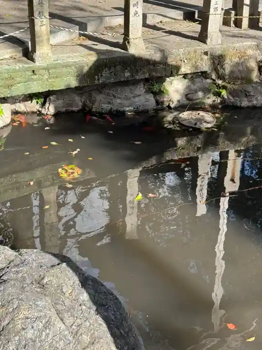 若宮八幡社(愛知県)