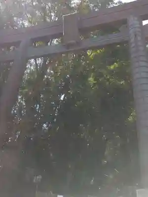 高千穂神社(宮崎県)