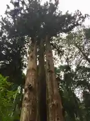 御岩神社の自然