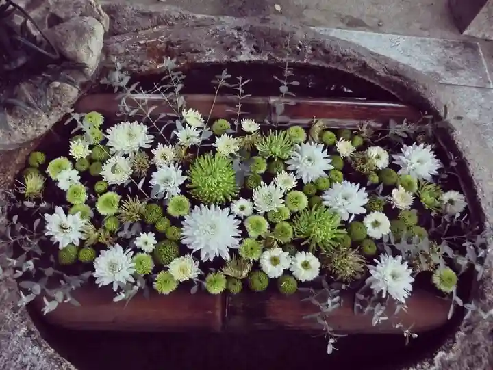立志神社の手水舎