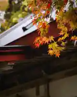 小谷寺(滋賀県)