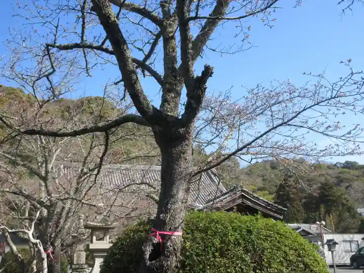 根来寺(和歌山県)