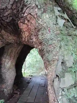 東霧島神社(宮崎県)