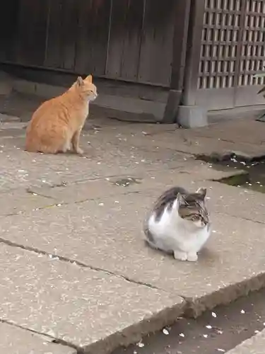 奥澤神社(東京都)