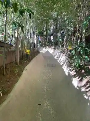 來宮神社(静岡県)