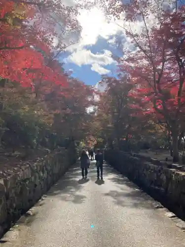 興聖寺（興聖寶林禅寺）(京都府)