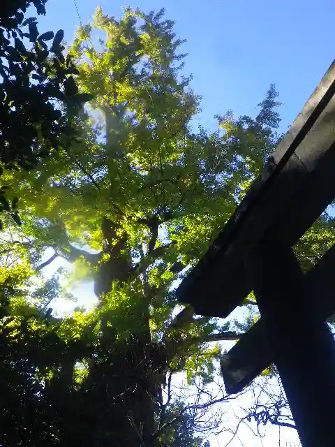 荏柄天神社のその他建物