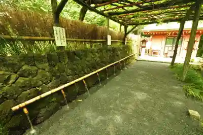 富士山本宮浅間大社(静岡県)