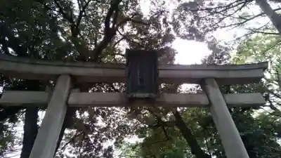 赤坂氷川神社の鳥居