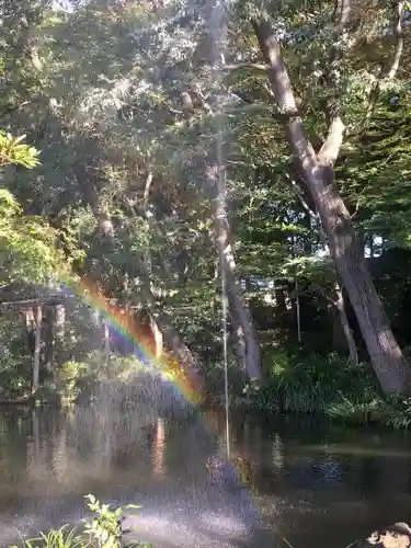 飯香岡八幡宮の庭園