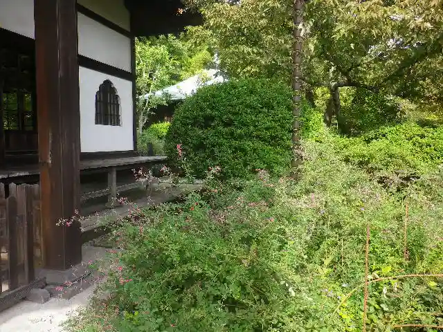 浄光明寺の自然