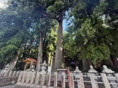 室生龍穴神社(奈良県)