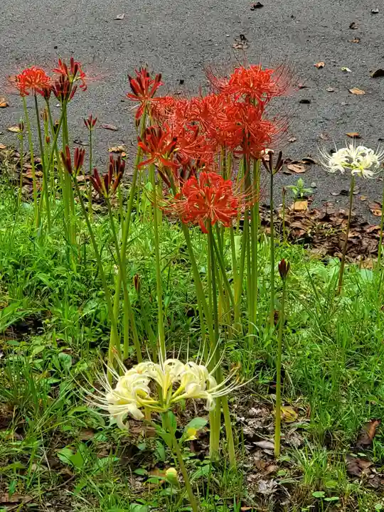 陽林寺(福島県)