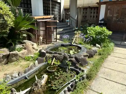 大善寺の{uncategorized: "未分類", other: "その他", undefined: "問題あり", building: "その他建物", grave: "お墓", sacred_gate: "鳥居", guardian: "狛犬", statue: "像", buddha: "仏像", history: "歴史", nature: "自然", garden: "庭園", animal: "動物", pagoda: "塔", temizu: "手水舎", mountain_gate: "山門・神門", sanctuary: "本殿・本堂", subordinate: "末社・摂社", art: "芸術", scenery: "景色", jizo: "地蔵", ema: "絵馬", goshuin: "御朱印", omikuji: "おみくじ", items: "授与品その他", amulet: "お守り", goshuincho: "御朱印帳", eats: "食事", festival: "お祭り", votive_dance: "神楽", shichigosan: "七五三参", wedding: "結婚式", experience: "体験その他", initially: "初詣", around: "周辺", anti_infection: "感染症対策"}