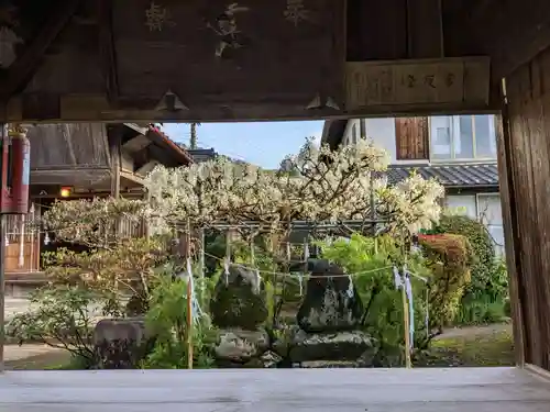 倶梨迦羅神社(長野県)