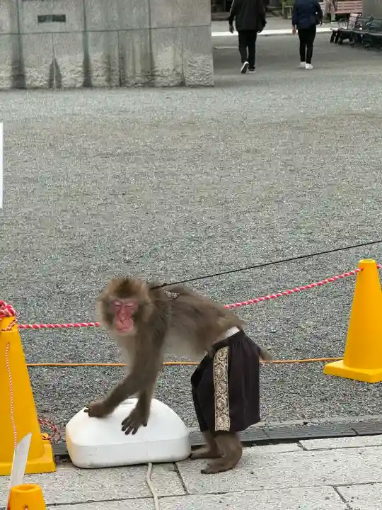 川崎大師(平間寺)(神奈川県)