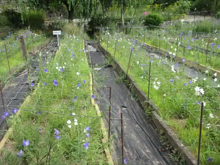 香勝寺(静岡県)