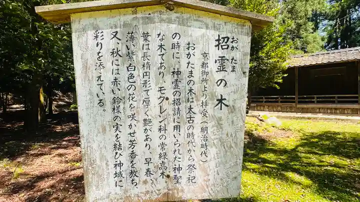 若狭姫神社(若狭彦神社下社)(福井県)