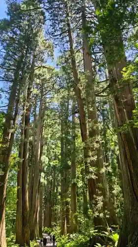 戸隠神社奥社(長野県)