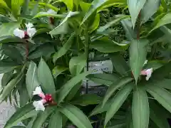 中之嶽神社(群馬県)