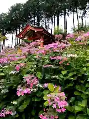 三室戸寺(京都府)