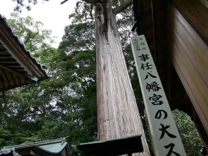 事任八幡宮のその他建物
