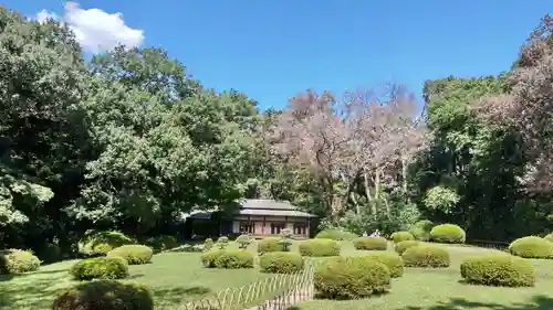 明治神宮の庭園