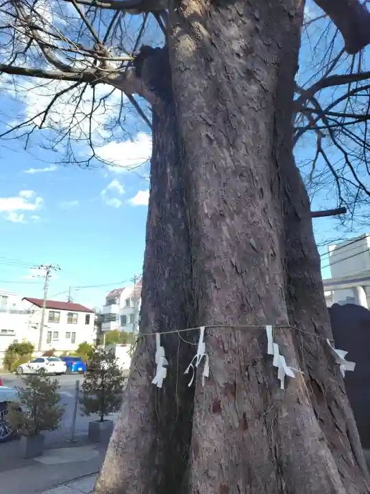 滝野川八幡神社の{uncategorized: "未分類", other: "その他", undefined: "問題あり", building: "その他建物", grave: "お墓", sacred_gate: "鳥居", guardian: "狛犬", statue: "像", buddha: "仏像", history: "歴史", nature: "自然", garden: "庭園", animal: "動物", pagoda: "塔", temizu: "手水舎", mountain_gate: "山門・神門", sanctuary: "本殿・本堂", subordinate: "末社・摂社", art: "芸術", scenery: "景色", jizo: "地蔵", ema: "絵馬", goshuin: "御朱印", omikuji: "おみくじ", items: "授与品その他", amulet: "お守り", goshuincho: "御朱印帳", eats: "食事", festival: "お祭り", votive_dance: "神楽", shichigosan: "七五三参", wedding: "結婚式", experience: "体験その他", initially: "初詣", around: "周辺", anti_infection: "感染症対策"}