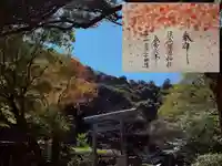 岐阜護國神社(岐阜県)