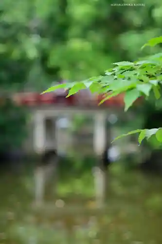 武蔵一宮氷川神社(埼玉県)