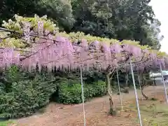 大生郷天満宮の自然