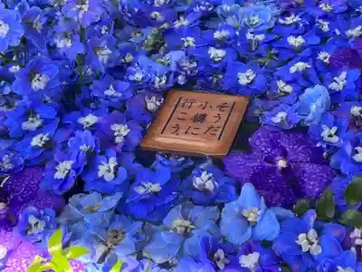 住吉神社のその他建物