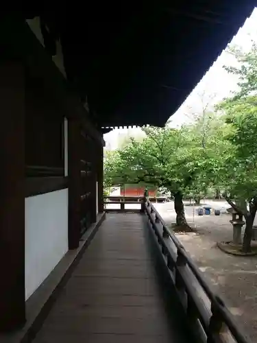 道明寺の庭園