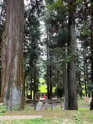大宮温泉神社(栃木県)