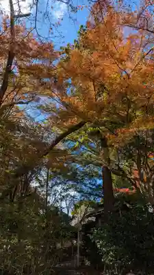 十輪寺(京都府)