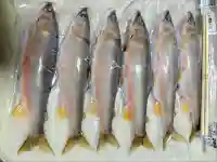 三坂神社(弾除け神社)(山口県)