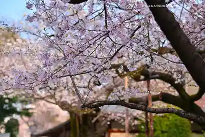 靖國神社(東京都)
