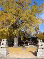 賀羅加波神社(広島県)