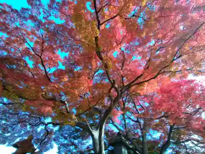 阿弥陀寺(福島県)