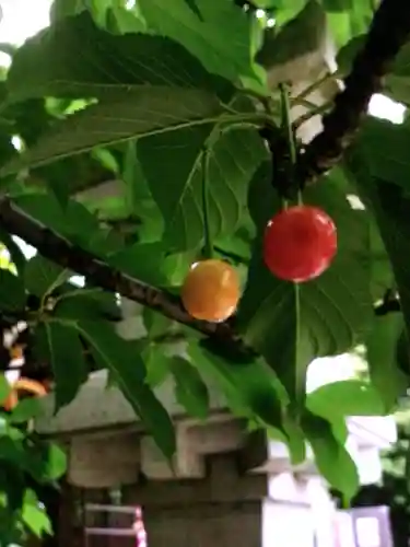 新宿下落合氷川神社(東京都)